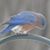 Peggy Budny's profile image