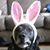 Stephen D. Covello's profile image