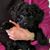 Beth Brawner Ahlhaus's profile image