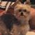 Teri Swanson's profile image