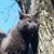 Brenda Mills's profile image