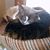 Mark Angelo Salza's profile image