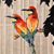Amy Werntz's profile image