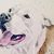 Claudia Lange's profile image