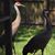 Linda Walker's profile image