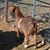 Kathleen Francis's profile image
