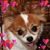 Margaret Klee's profile image