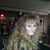 Renee Robertson's profile image