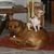 Elizabeth Salter Wood's profile image