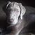 Jill Shepherd's profile image