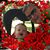 Cindy Millsap Luck's profile image