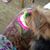 Jami Lynn Grow's profile image