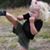 Katey Lamdin Blehm's profile image