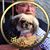Wade Guthrie's profile image