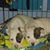 Lydia Chilson Landon's profile image