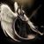 SagVisheal Hill's profile image