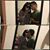 Daniela Rojas's profile image