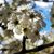 Tanya Apel's profile image