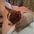 Jenny Jo Harris's profile image