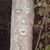 Dawn Tankersley Runyon's profile image
