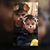 Manuel Sandoval's profile image