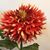 Janet Bishop-Magina's profile image