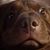 Karen Wetherow's profile image
