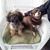 Gail Loucks's profile image