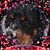 Theresa Draime's profile image