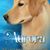 Cindy Weber Fisher's profile image
