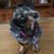 Jen Trowbridge's profile image