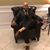 Gilles Jamil Murad's profile image
