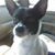 Donna Ford Burris's profile image