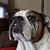 Tracy Anne's profile image