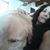 Lisette Joslynn's profile image