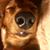 Cathy Nichols's profile image