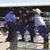 Barbara Partin Marshall's profile image