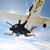 Carroll Bohley's profile image