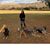 Fran Townsend Vaccaro's profile image