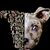 Claire Murawski Mcgill's profile image