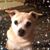 Duane McCarty's profile image