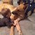 Cheri Filipowski Ballard's profile image