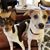 Theresa L Hineline's profile image