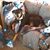 Roxanne Kasper's profile image
