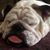 Tom Hollobaugh's profile image