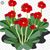 Linda Fillback's profile image