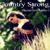 Amy Stewart Johnson's profile image