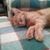 Jeanette Lawrence's profile image
