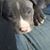 Kathleen Judson's profile image