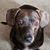 Kimberly Enyeart's profile image